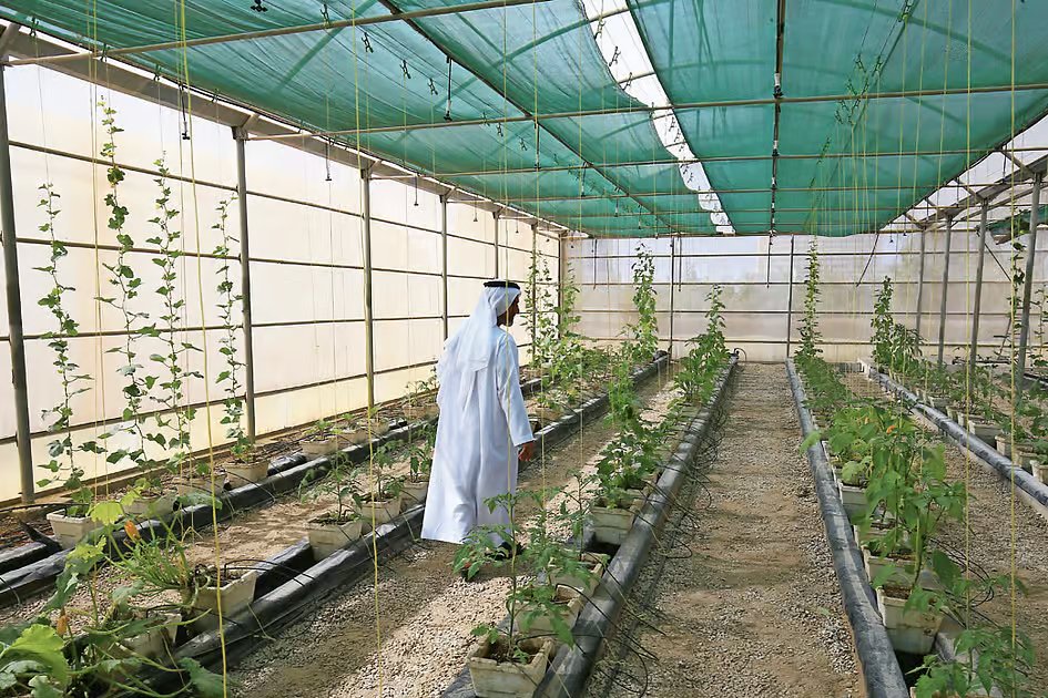 UAE to expand farmers’ market at agriculture exhibition from April 22 to 26
