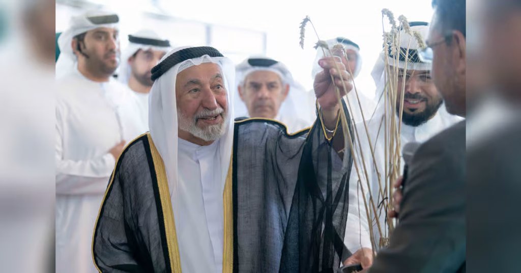 New wheat farm in Sharjah to double output and expand global market reach