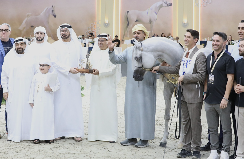 Dubai Stud’s D Seraj wins top honours at Dubai International Arabian Horse Championship