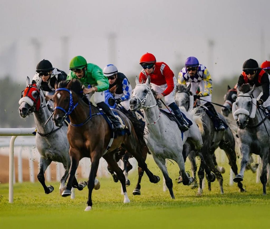 Abu Dhabi Turf concludes its 2025/2026 horse racing season tomorrow