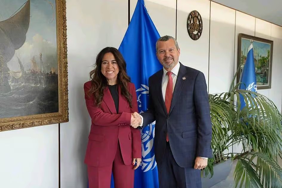 Lana Nusseibeh discusses Iran attacks, security threats in Hormuz Strait with IMO chief