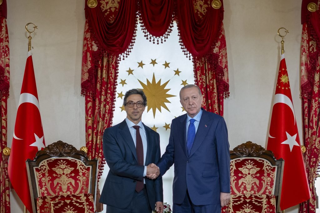 Mansour bin Zayed, President of Türkiye discuss bilateral cooperation