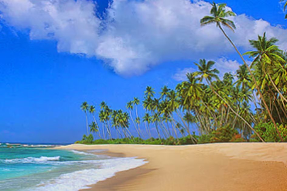 Sri Lanka announces free tourist ETA for nationals of UAE, India, Pakistan, 37 countries