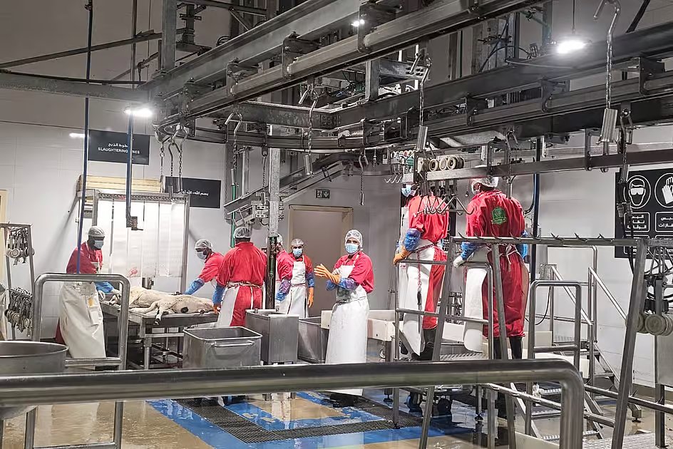 Inside Sharjah abattoir: How Eid Al Adha sacrifice meat is handled in around 20 minutes