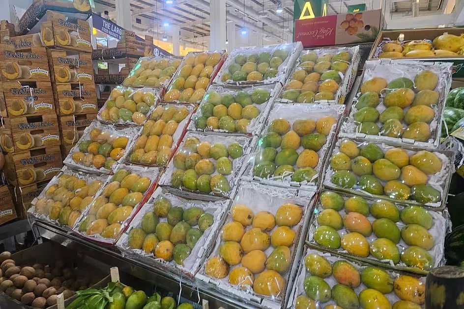 Mangoes are back in UAE: Which varieties cost more this season?