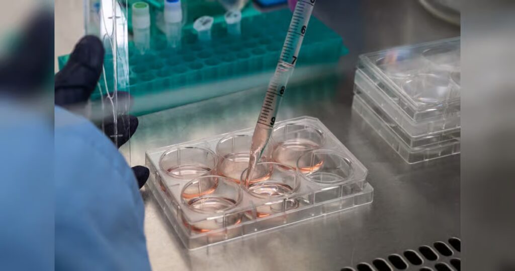 UAE targets complex generics and biosimilars in pharma manufacturing push