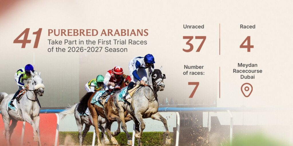 UAE Horse Racing Authority announces 41 horses to compete in first trial race of new season