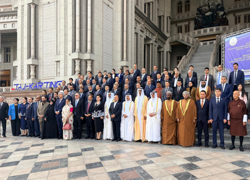 FNC participates in meeting of APA’s Standing Committee on Social Affairs