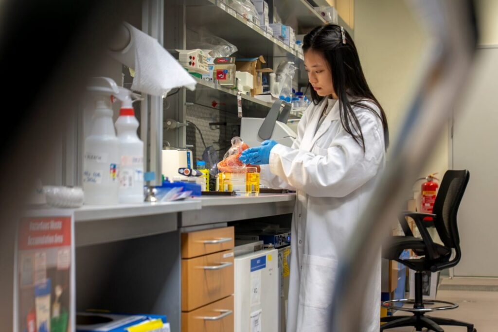 NYU Abu Dhabi study reveals how cells respond differently to cancer-causing gene